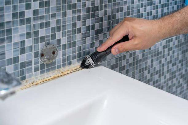 Best Office Mold Removal Services  in Tipton, IN